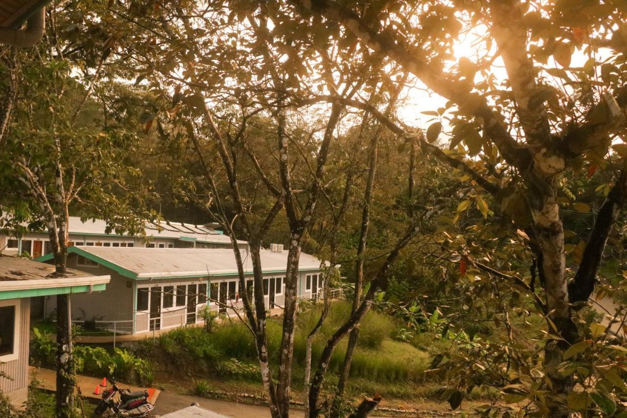 Teva Hotel & Jungle Reserve Manuel Antonio Kültér fotó